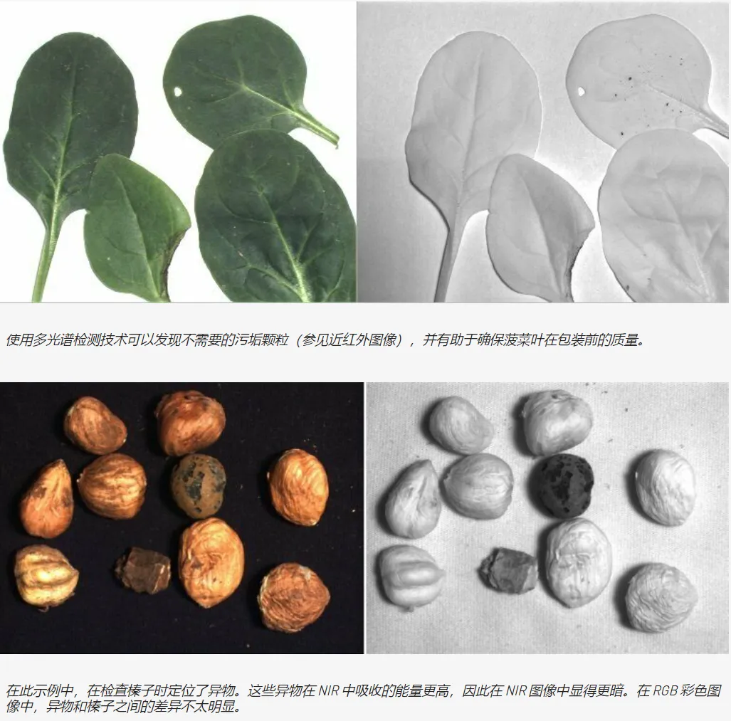 高光谱HSI和多光谱MSI成像2.png